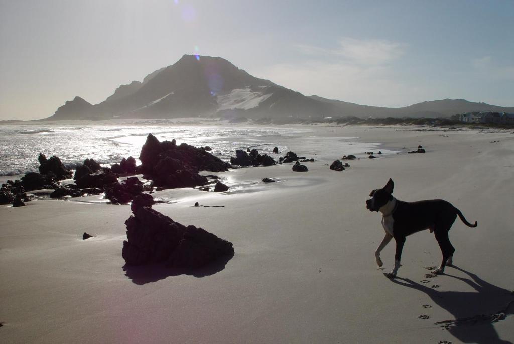 Jack'S Seaview Inn Bettyʼs Bay Buitenkant foto